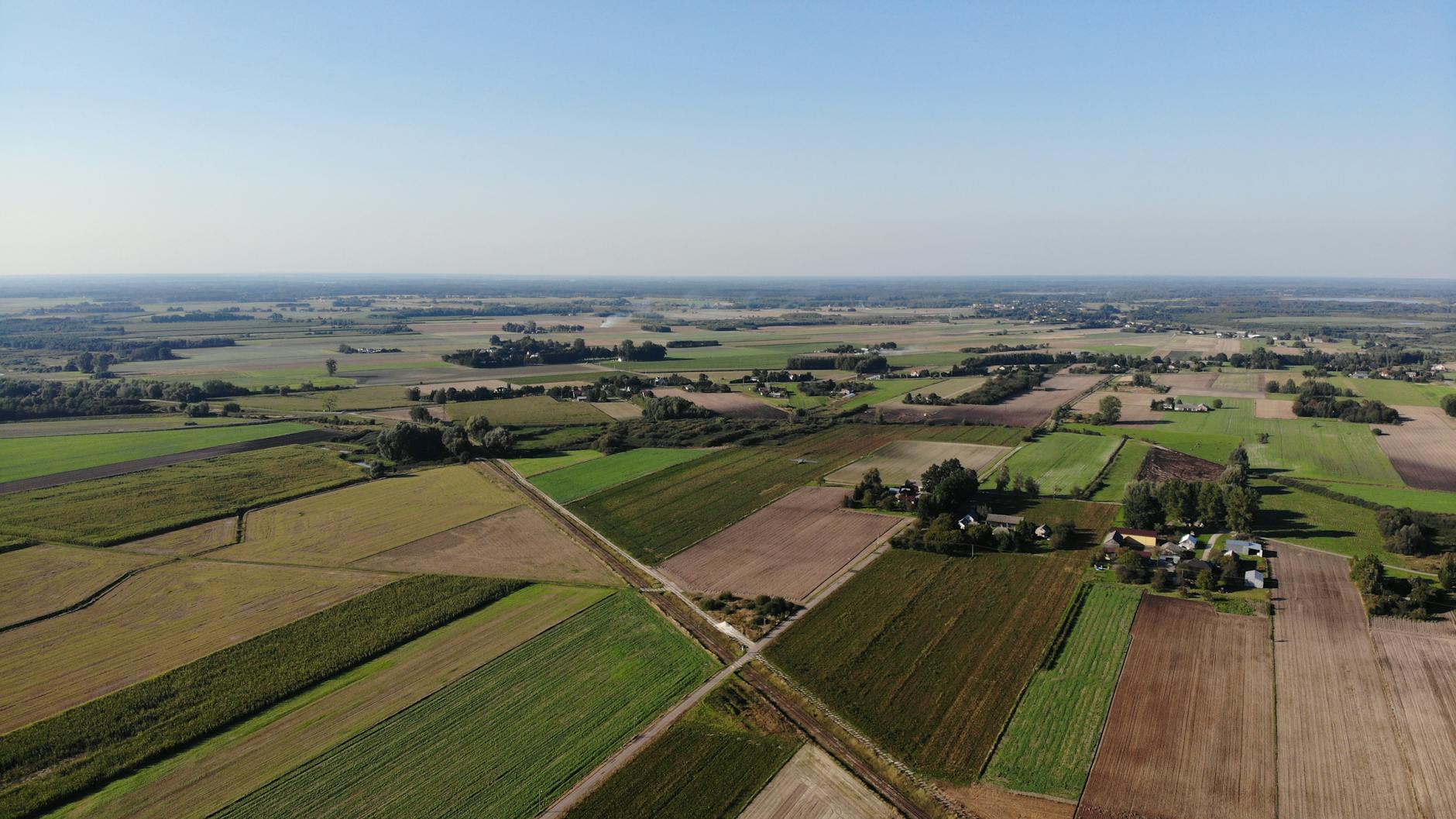 Mapa infrastruktury i usług w Tomaszowie Lubelskim, z zaznaczonymi sklepami, aptekami i szkołami.